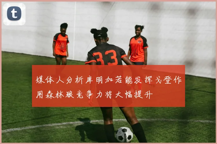 媒体人分析库明加若能发挥戈登作用森林狼竞争力将大幅提升