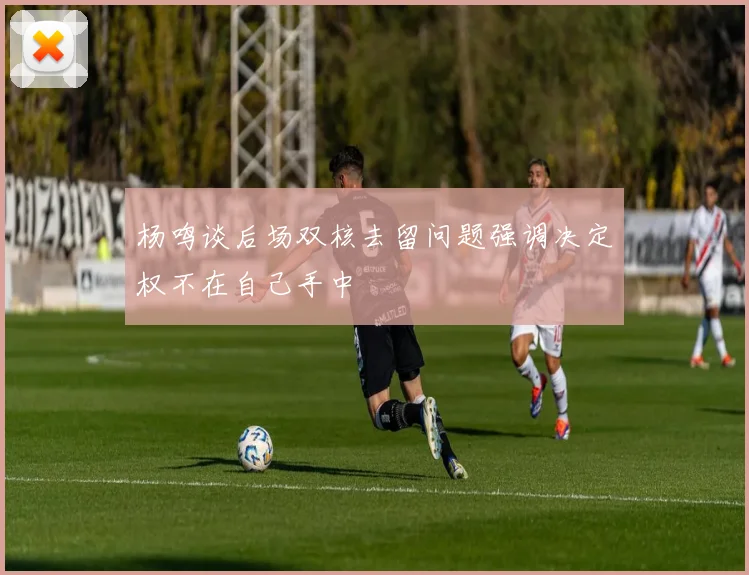 杨鸣谈后场双核去留问题强调决定权不在自己手中